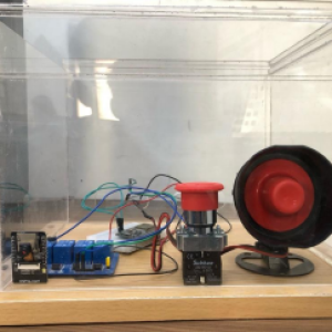 Smart Panic Button System